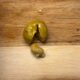 WhatsApp Image 2026-06-05 at 15.43.45 Sarıbelen Kırma Yeşil Zeytin