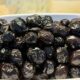WhatsApp Image 2026-06-05 at 15.53.11 Premium Kuru Sele Siyah Zeytin
